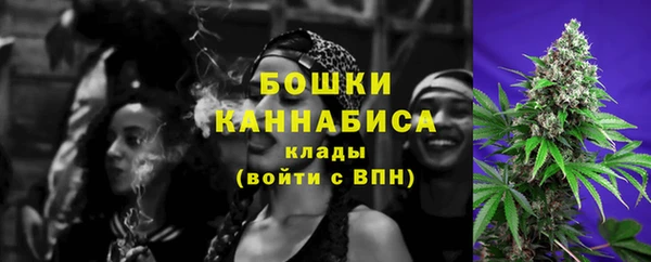 прущие грибы Мегион
