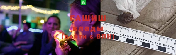 прущие грибы Мегион