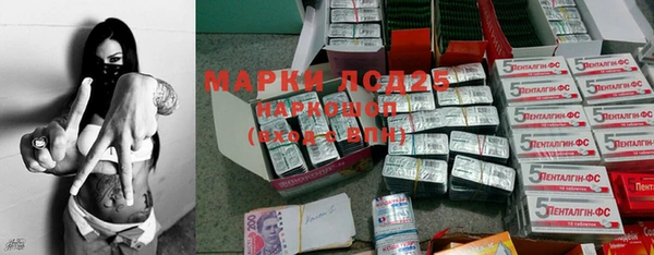прущие грибы Мегион