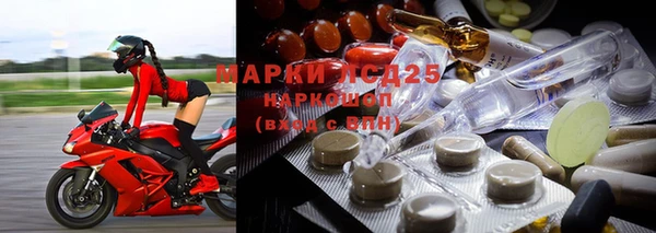 прущие грибы Мегион