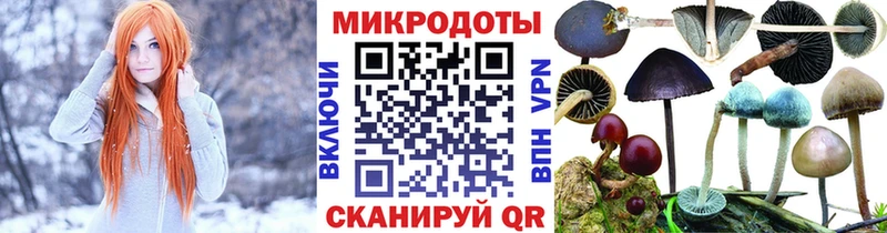 Купить  Чулым  Псилоцибиновые грибы мухоморы 
